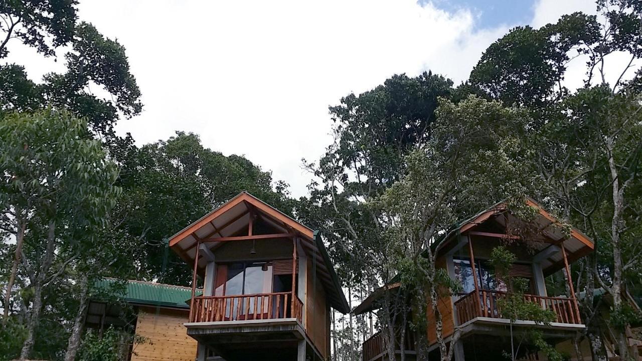 Saffron Eco Cottage Ella Exterior foto