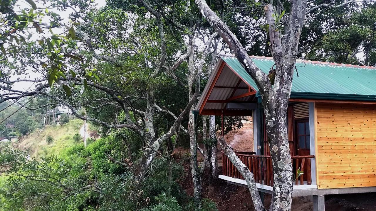 Saffron Eco Cottage Ella Exterior foto